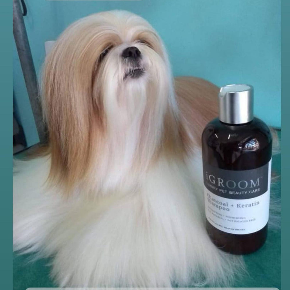 Charcoal Keratin Shampoo for Pets iGroom